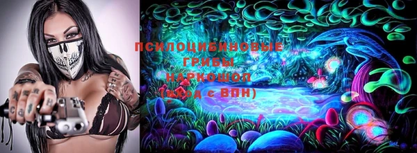 мдпв Сосновка