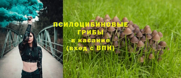 мдпв Сосновка